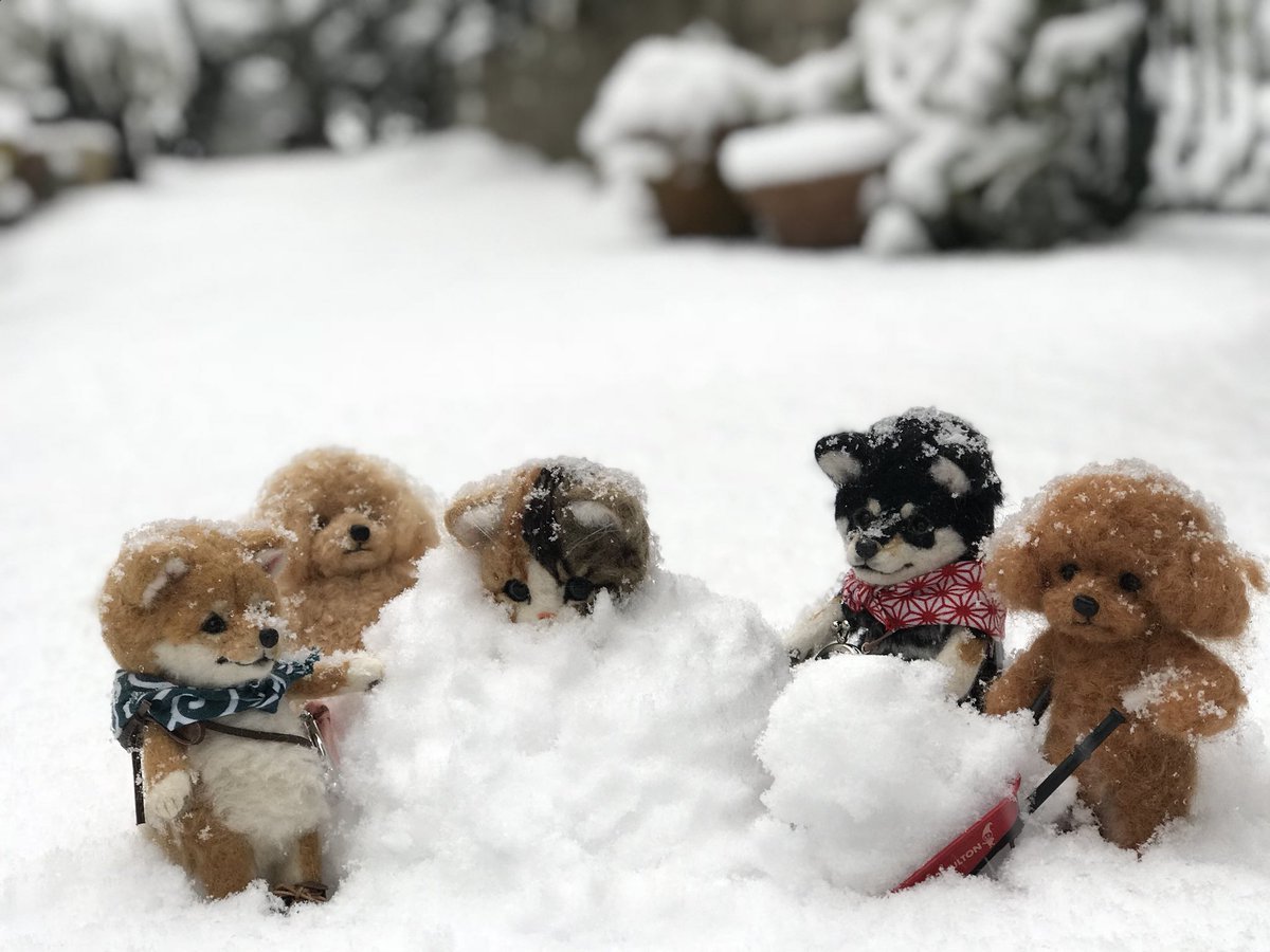 羊毛フェルトでつくる犬猫