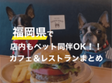 福岡県でペット同伴で店内に入れるオススメのカフェやレストラン18選（うちドッグラン併設のドッグカフェ＆犬カフェ２選）