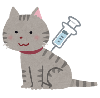 【猫】初めての病院受診【診察内容・予防接種・費用】