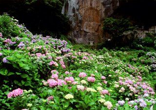 ペットとおでかけ特集19 別名 あじさい寺 と呼ばれる紫陽花の名所 普光寺 の磨崖仏を見に行こう ペットと人と人をむすぶメディア Petribbon ペットリボン