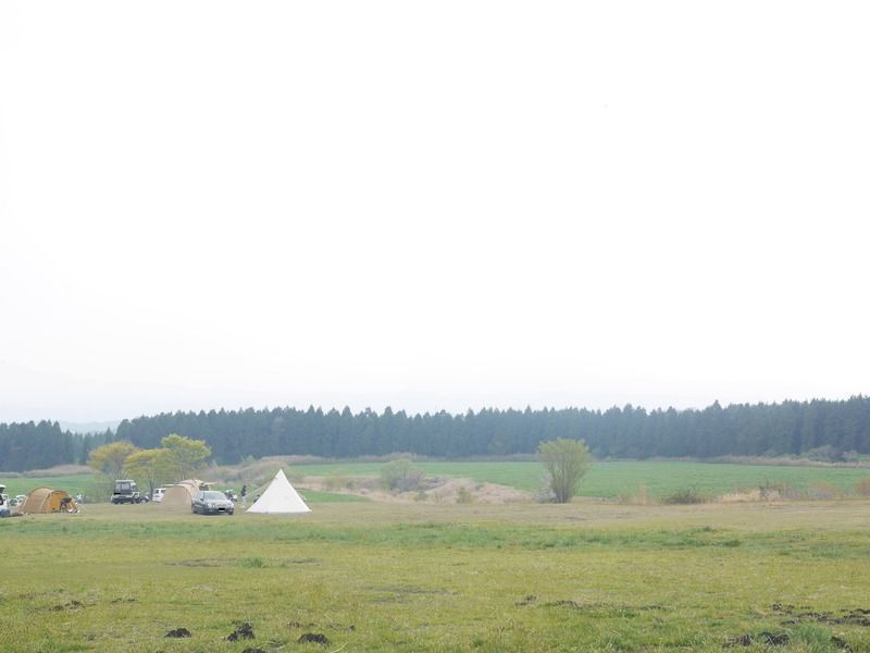テラスから見える草原とキャンプ場